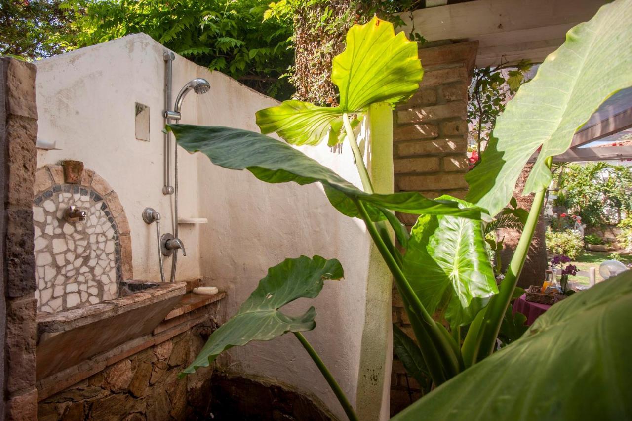 Casa Petunia Villa ซาร์ร็อค ภายนอก รูปภาพ